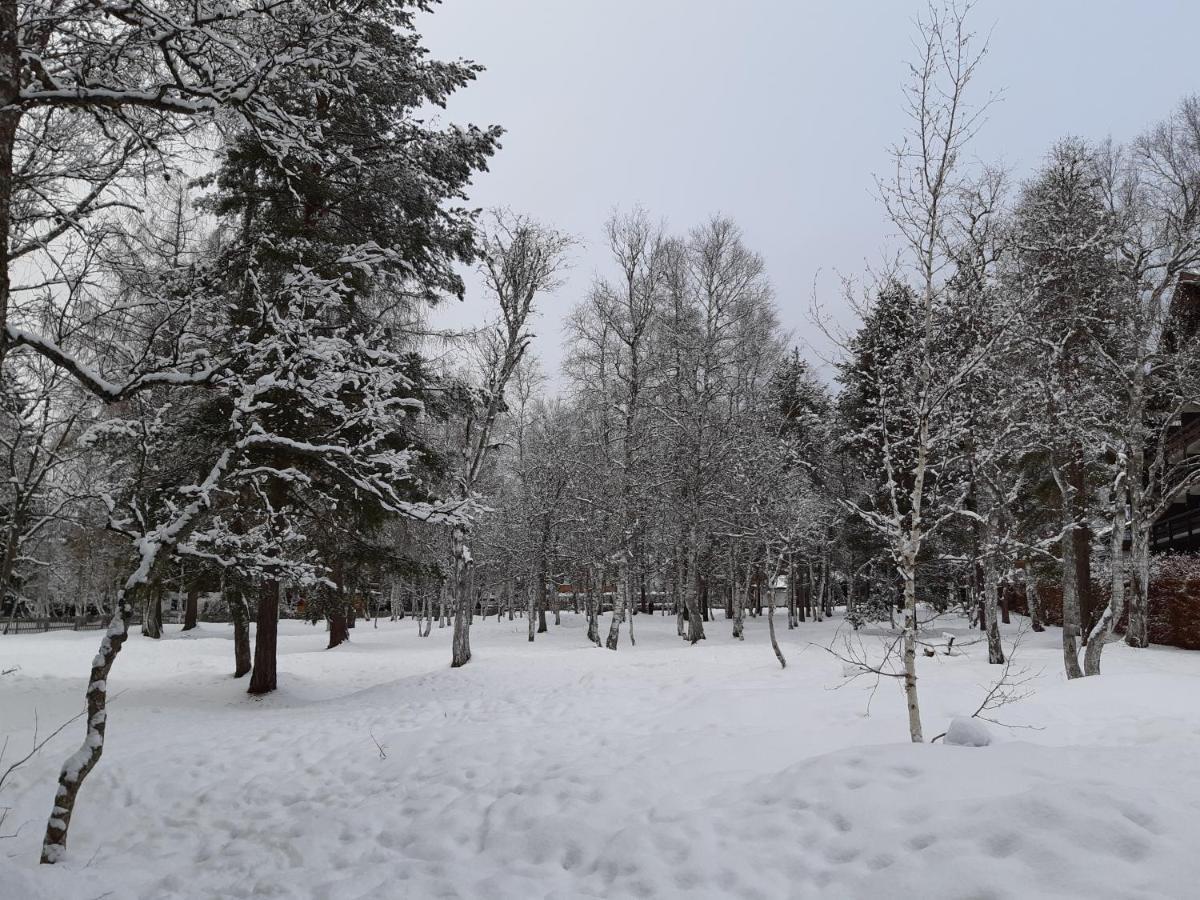 Suite Panoramablick Seefeld ゼーフェルト・イン・チロル エクステリア 写真