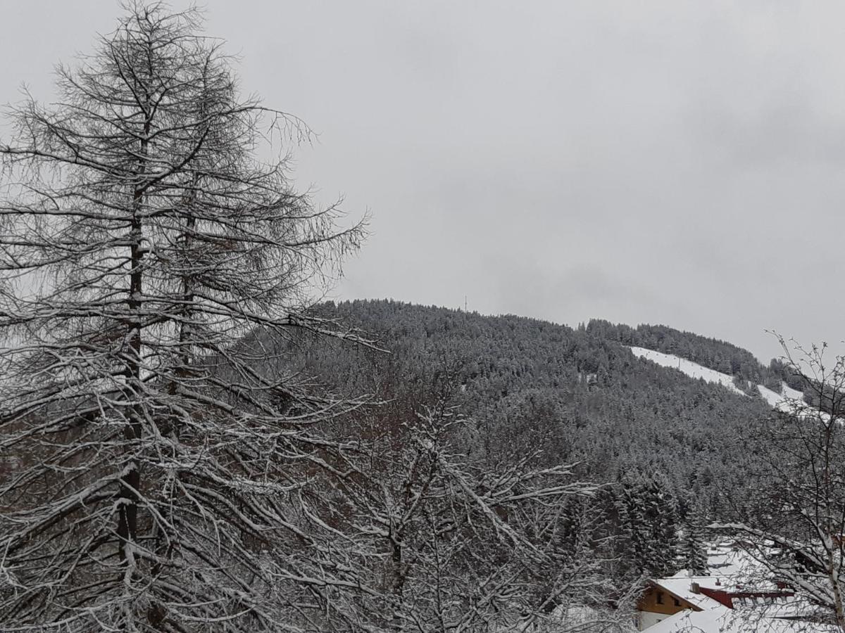 Suite Panoramablick Seefeld ゼーフェルト・イン・チロル エクステリア 写真