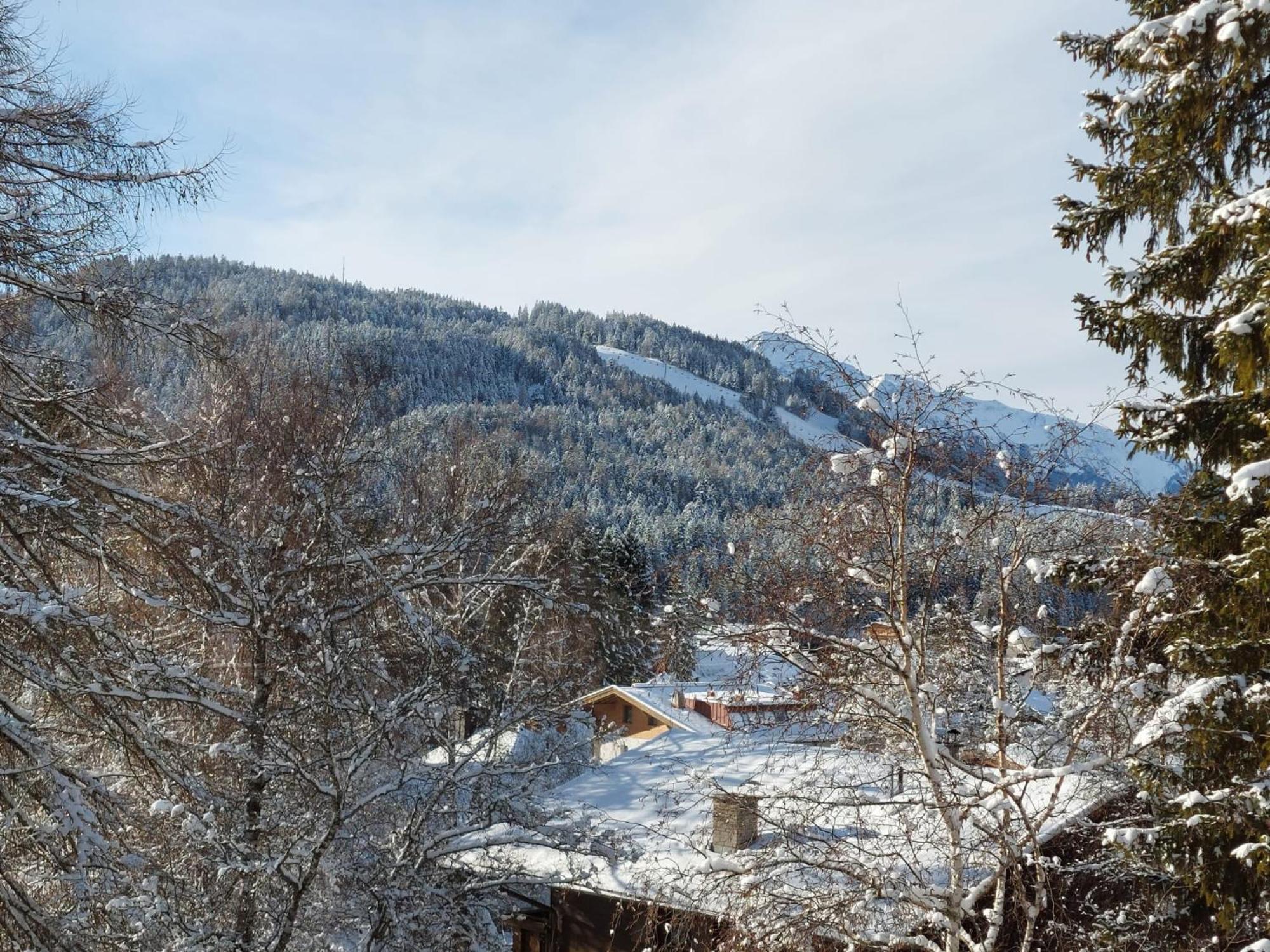 Suite Panoramablick Seefeld ゼーフェルト・イン・チロル エクステリア 写真